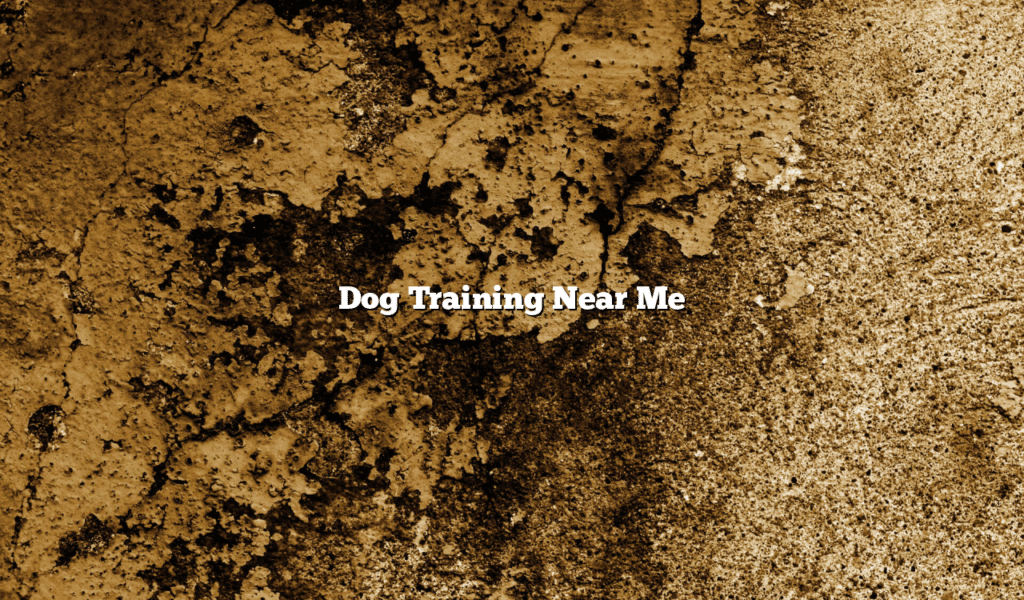 Dog Training Near Me