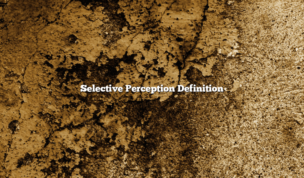 Selective Perception Definition
