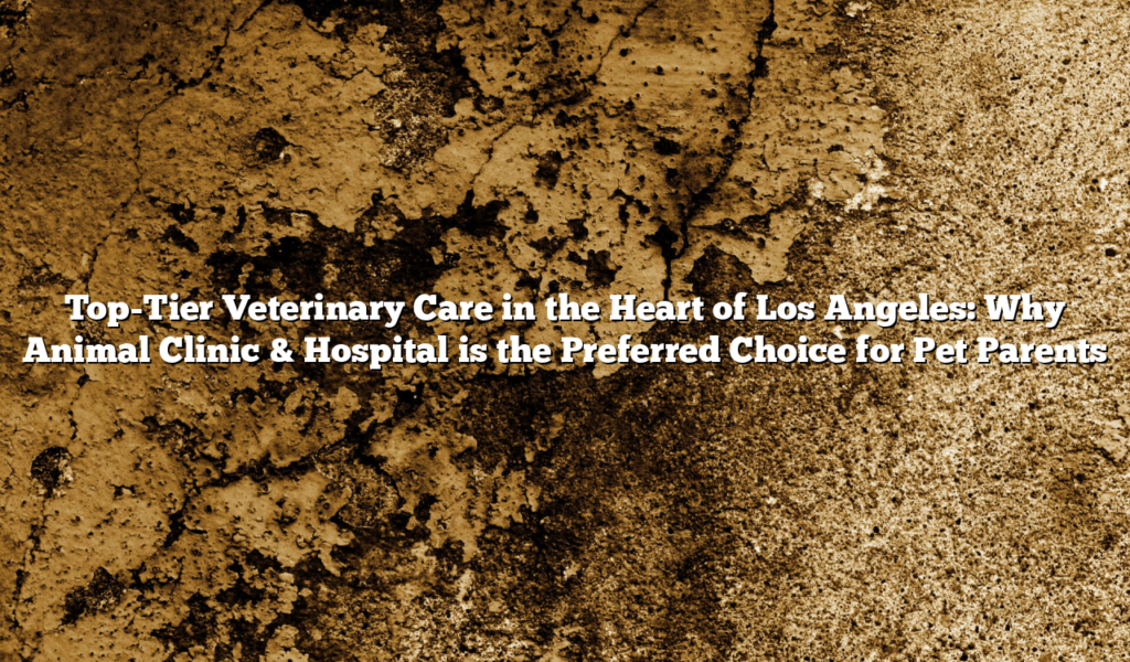 Top-Tier Veterinary Care in the Heart of Los Angeles: Why Animal Clinic & Hospital is the Preferred Choice for Pet Parents
